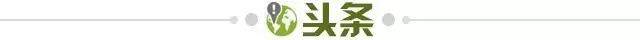 【早报】诺贝尔和平奖提名？法国队史首次五连平！