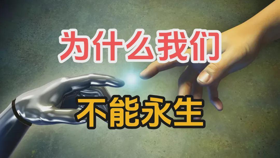 旺财28-为什么你一定会老死？因为你的DNA在故意杀掉你